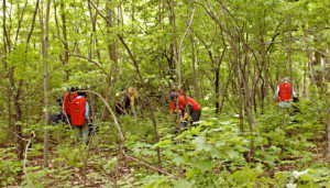 Protection du patrimoine naturel : la forêt Angrignon